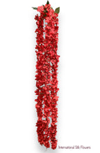 Hanging Wisteria ( INT036-Red ) H3K6