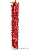 Hanging Wisteria ( INT036-Red ) H3K6