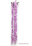 Hanging Wisteria ( INT036-Lavender ) H3K6