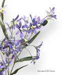 29'' Tweedia Spray  ( FST322-HE )