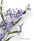 29'' Tweedia Spray  ( FST322-HE )