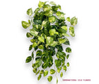 26" Pothos Bush  ( INT576-KA )