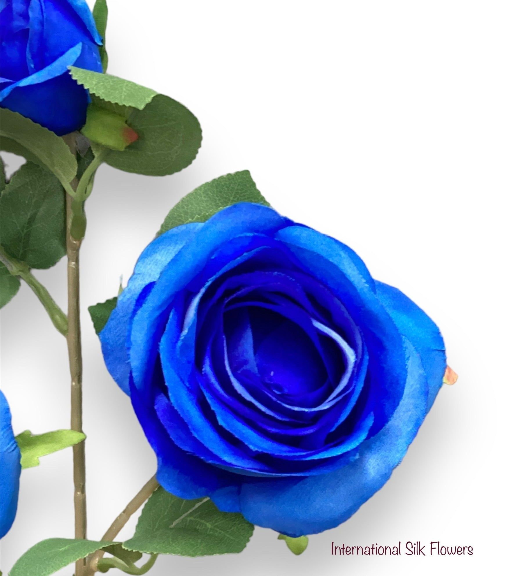 26'' Single Stem Rose ( SS1049-Ton Blue )
