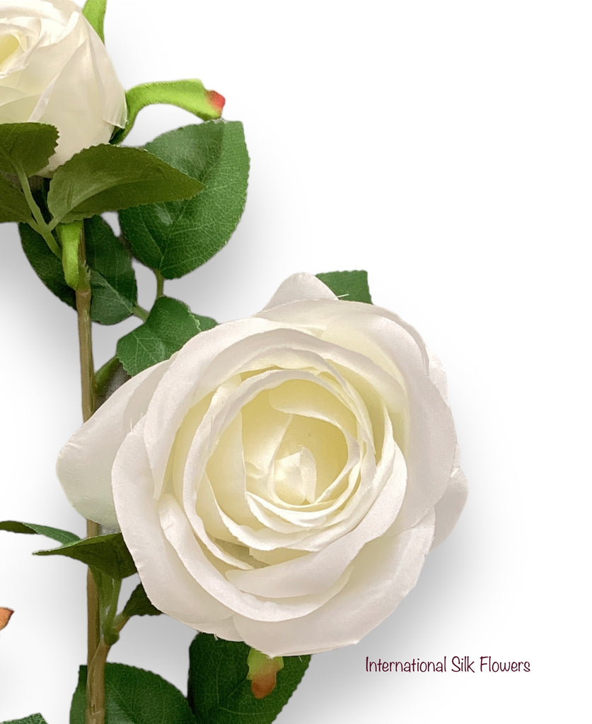 26 Rose Stem White