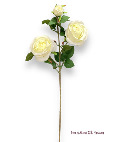 26'' Single Stem Rose ( J1049-Cream )