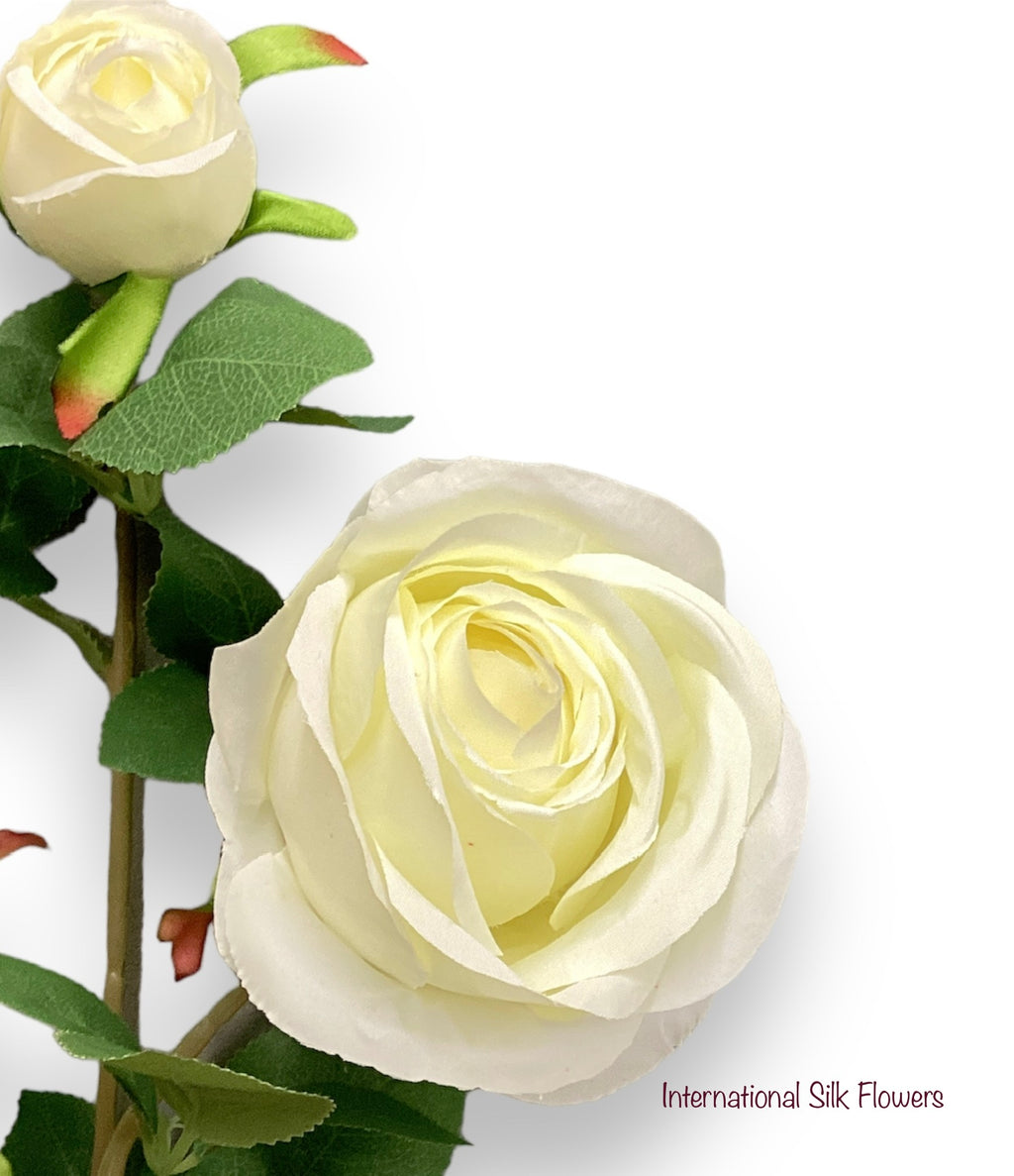 26'' Single Stem Rose ( J1049-Cream )