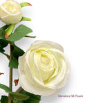 26'' Single Stem Rose ( J1049-Cream )