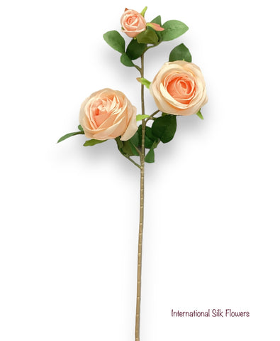 26'' Single Stem Rose ( SS1049-Champagne )