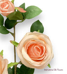 26'' Single Stem Rose ( SS1049-Champagne )