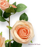 26'' Single Stem Rose ( SS1049-Champagne )
