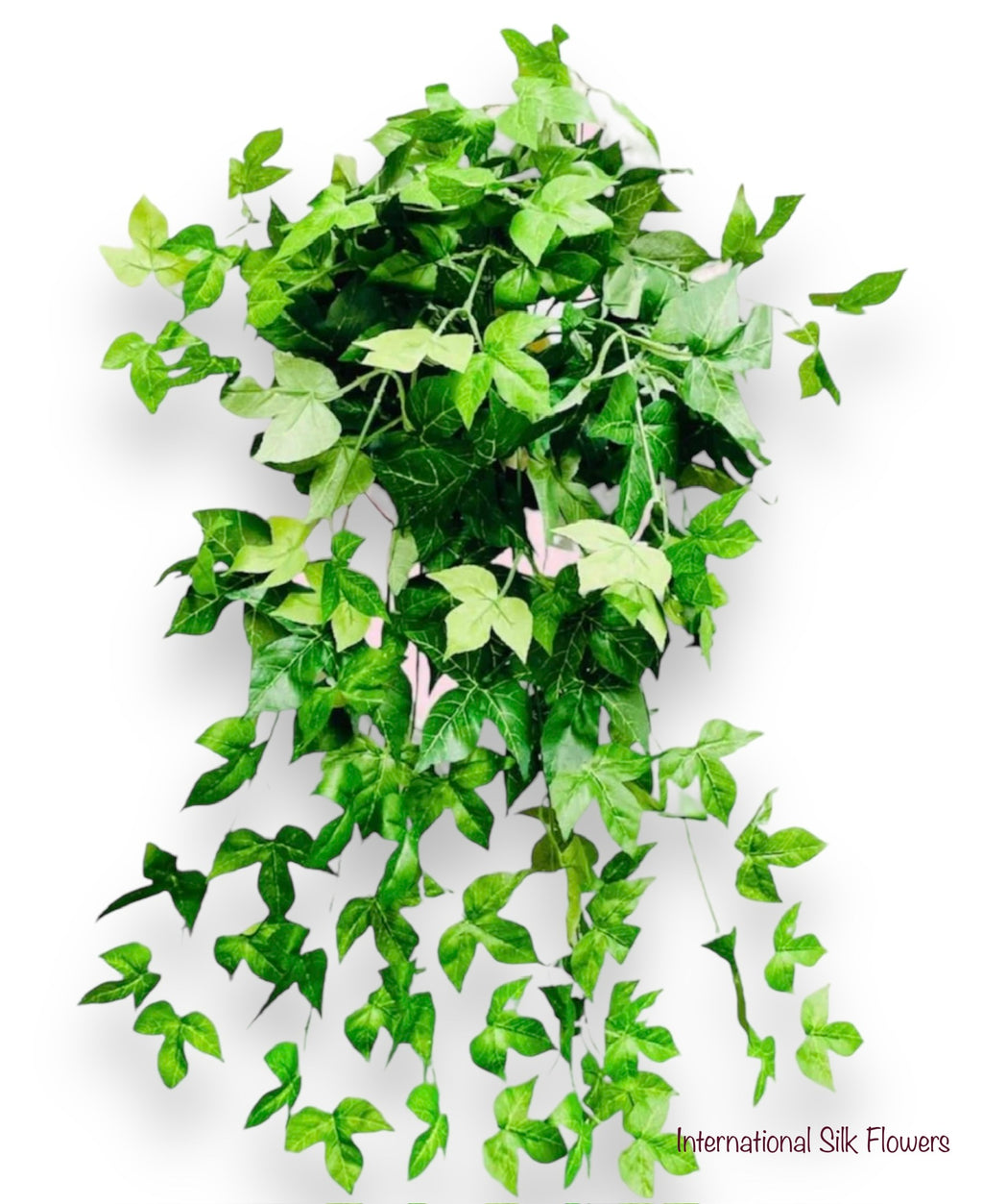 36" Maple Ivy Bush ( G180-8006 )