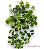 26" Creeping Charlie Bush ( INT577-KA )