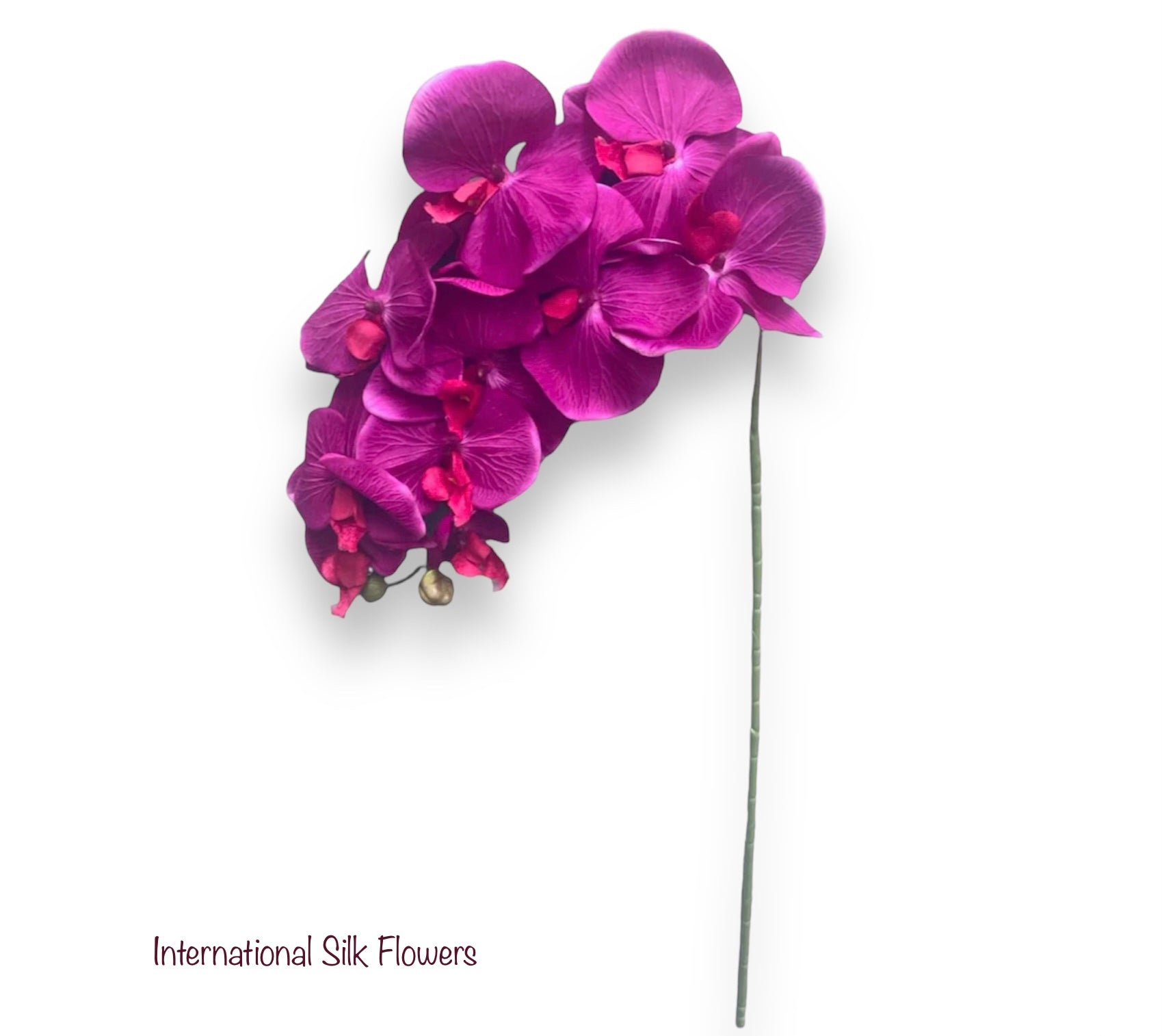 36" Silk Orchid Spray ( S1TJ16-Purple ) INT57A