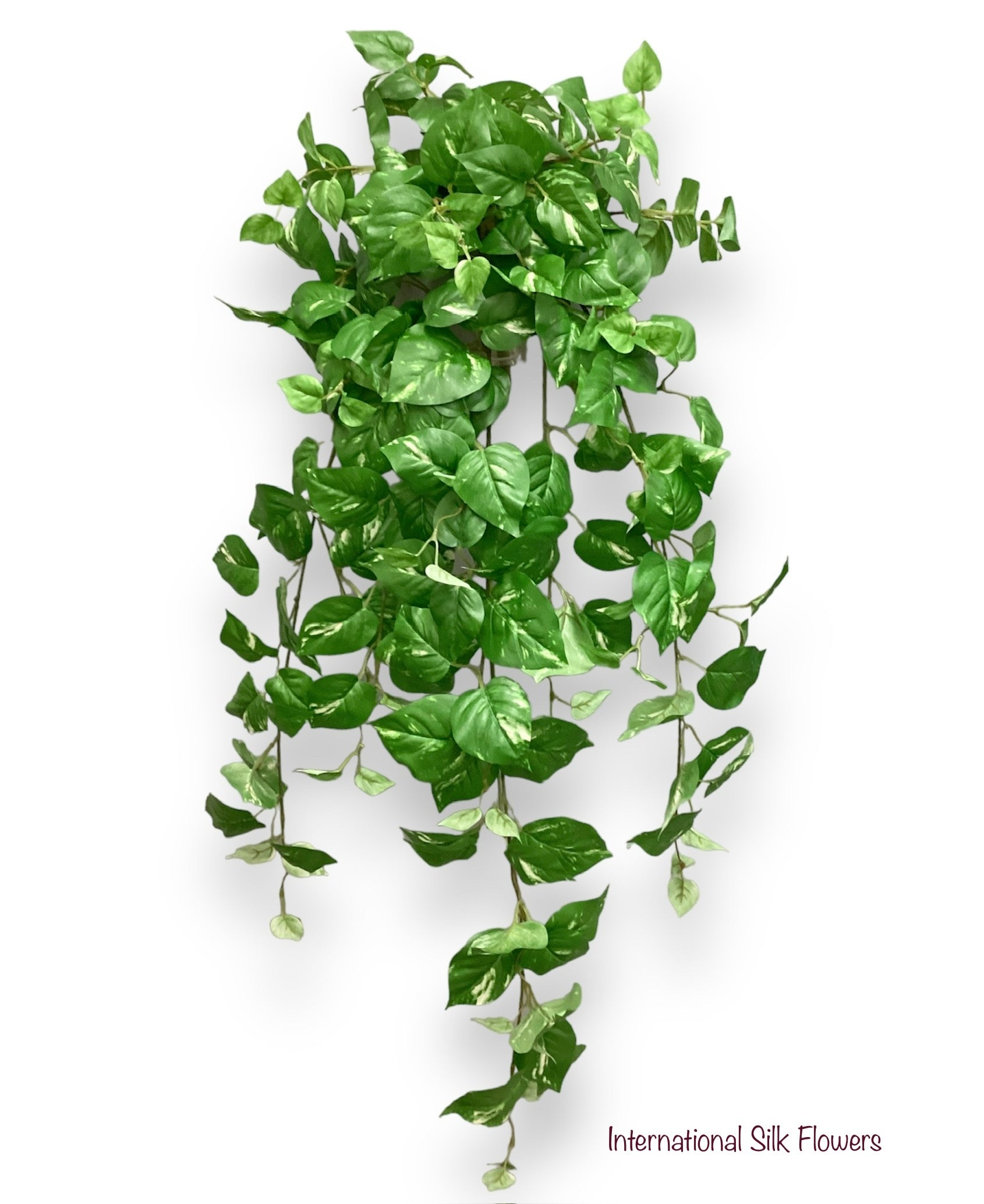 40'' Pothos Hanging Bush ( INT8404 )