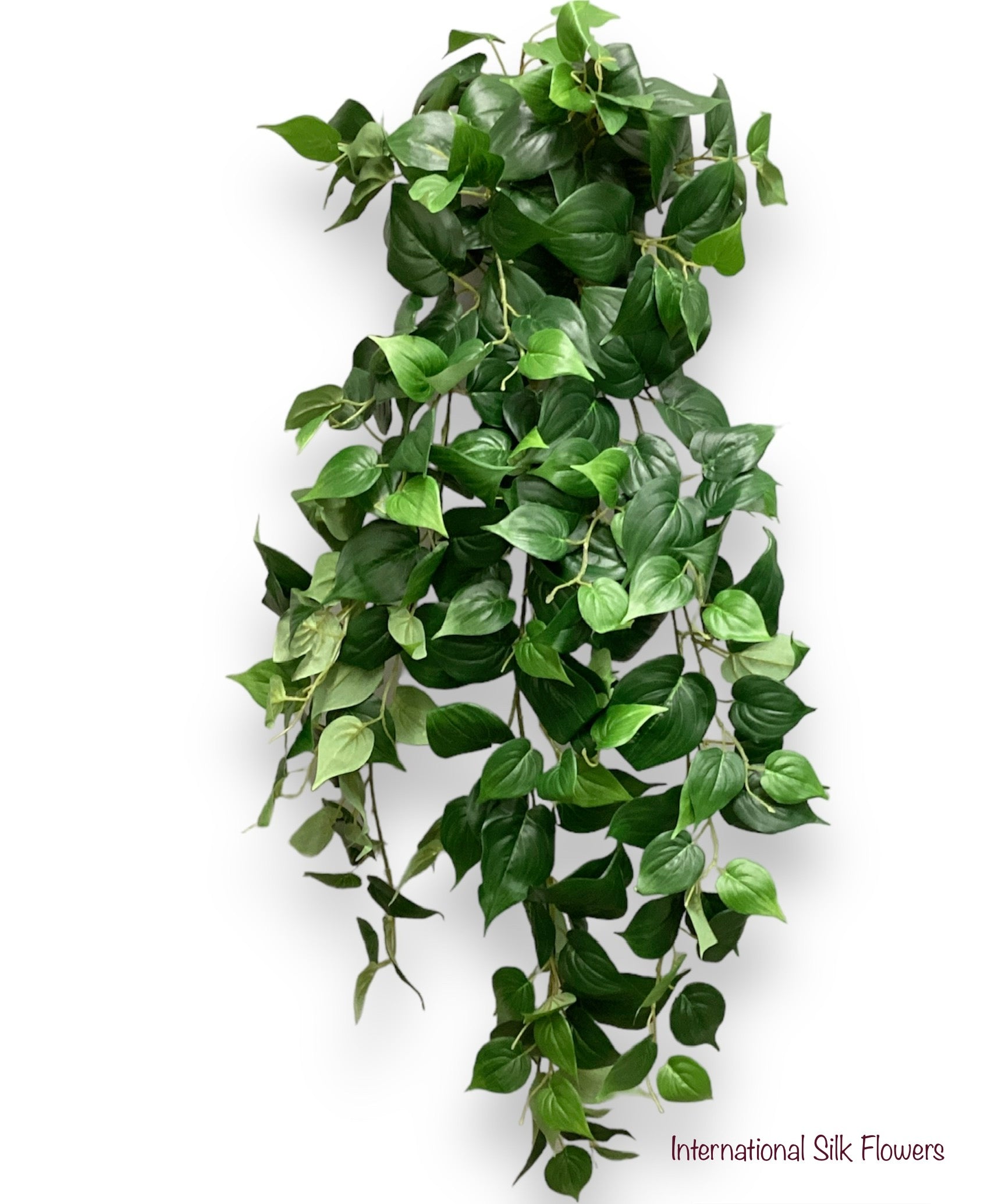 36'' Philo Hanging Bush ( INT8407 )