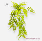 50'' UV SOFT PE BOSTON FERN HG/BUSH ( PBF330-GR )