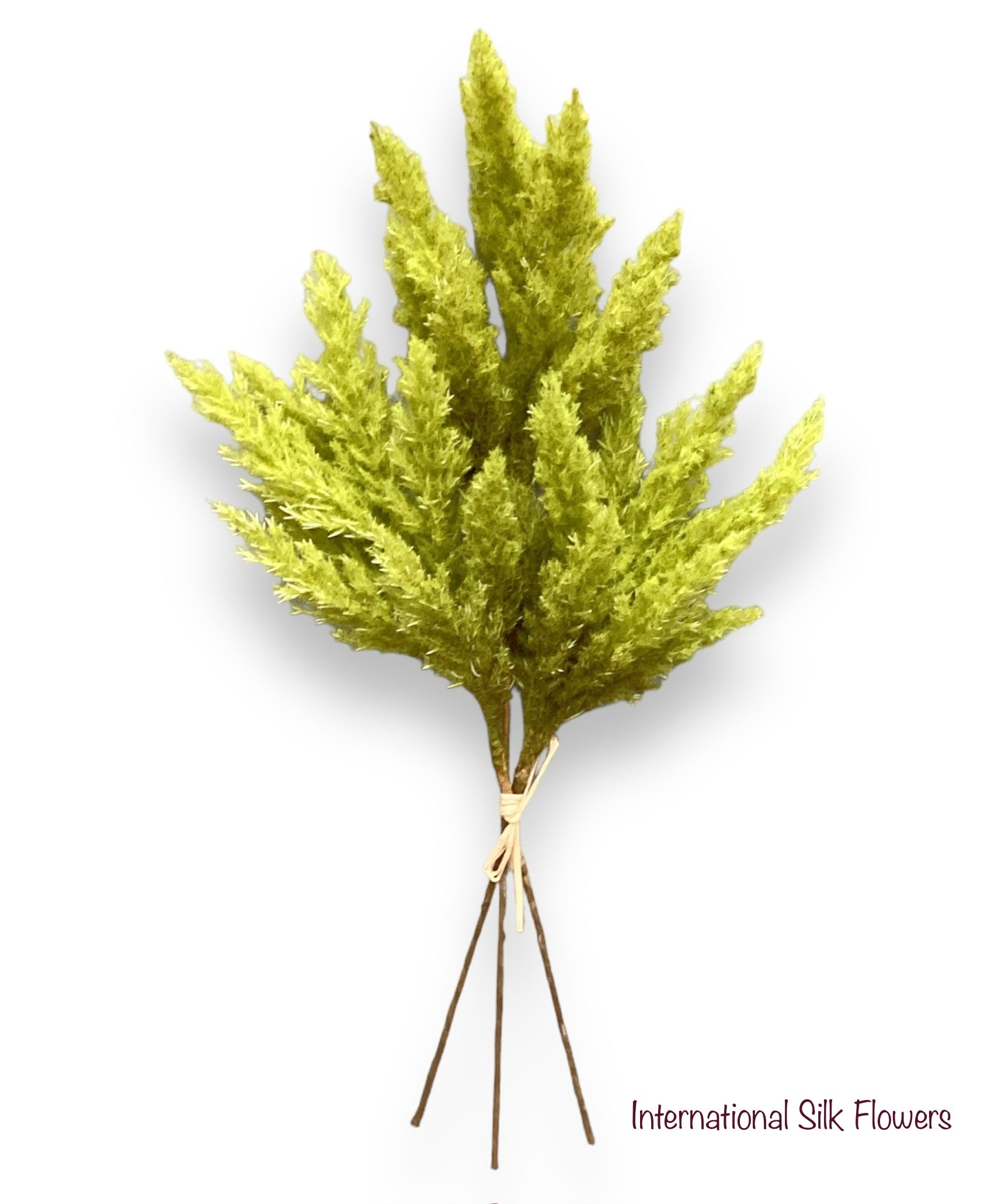 18" Pampas Grass Bundle ( FBP572-Green )