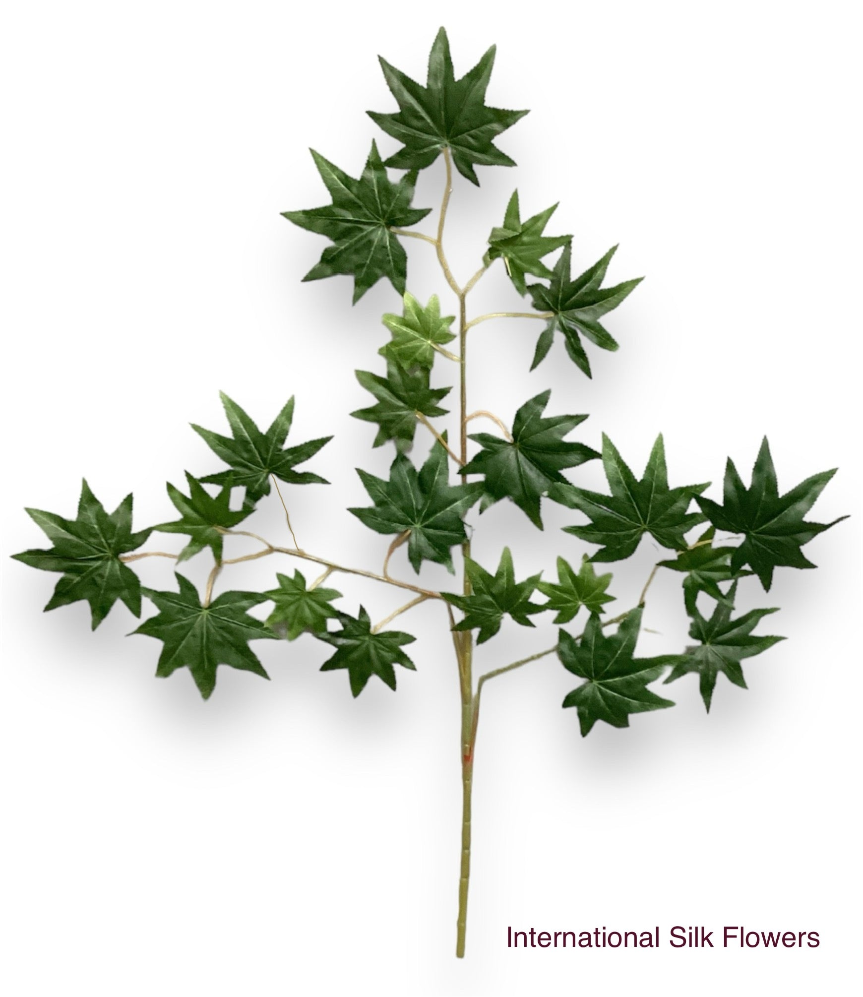24'' Maple Spray ( SM2388-GR )