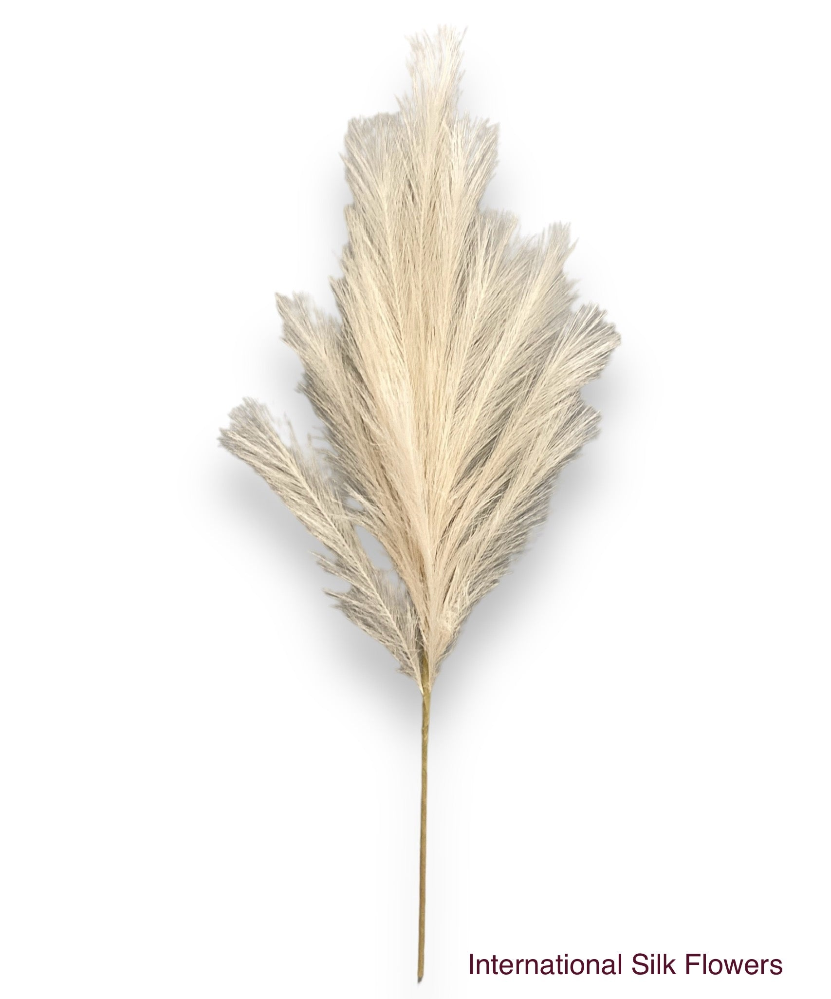 36'' Pampas Grass ( LW12-Ivory )