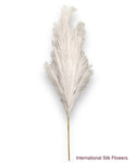 36'' Pampas Grass ( LW12-White )