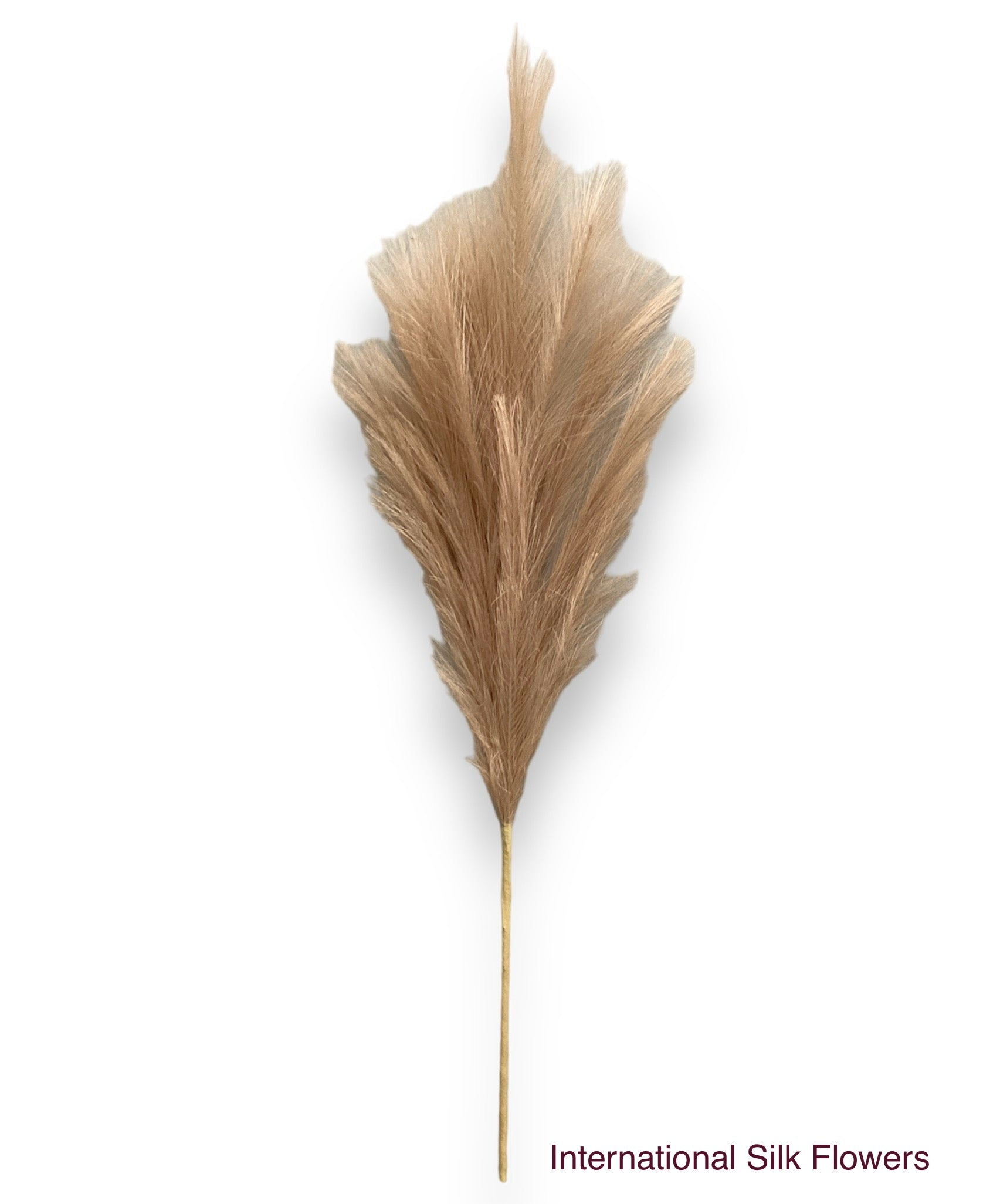 36'' Pampas Grass ( LW12-Light Beige )