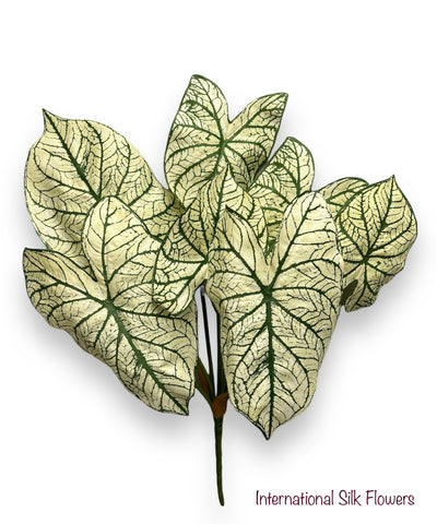 23'' Caladium Leaf Bush ( PBC204-GR/TT )