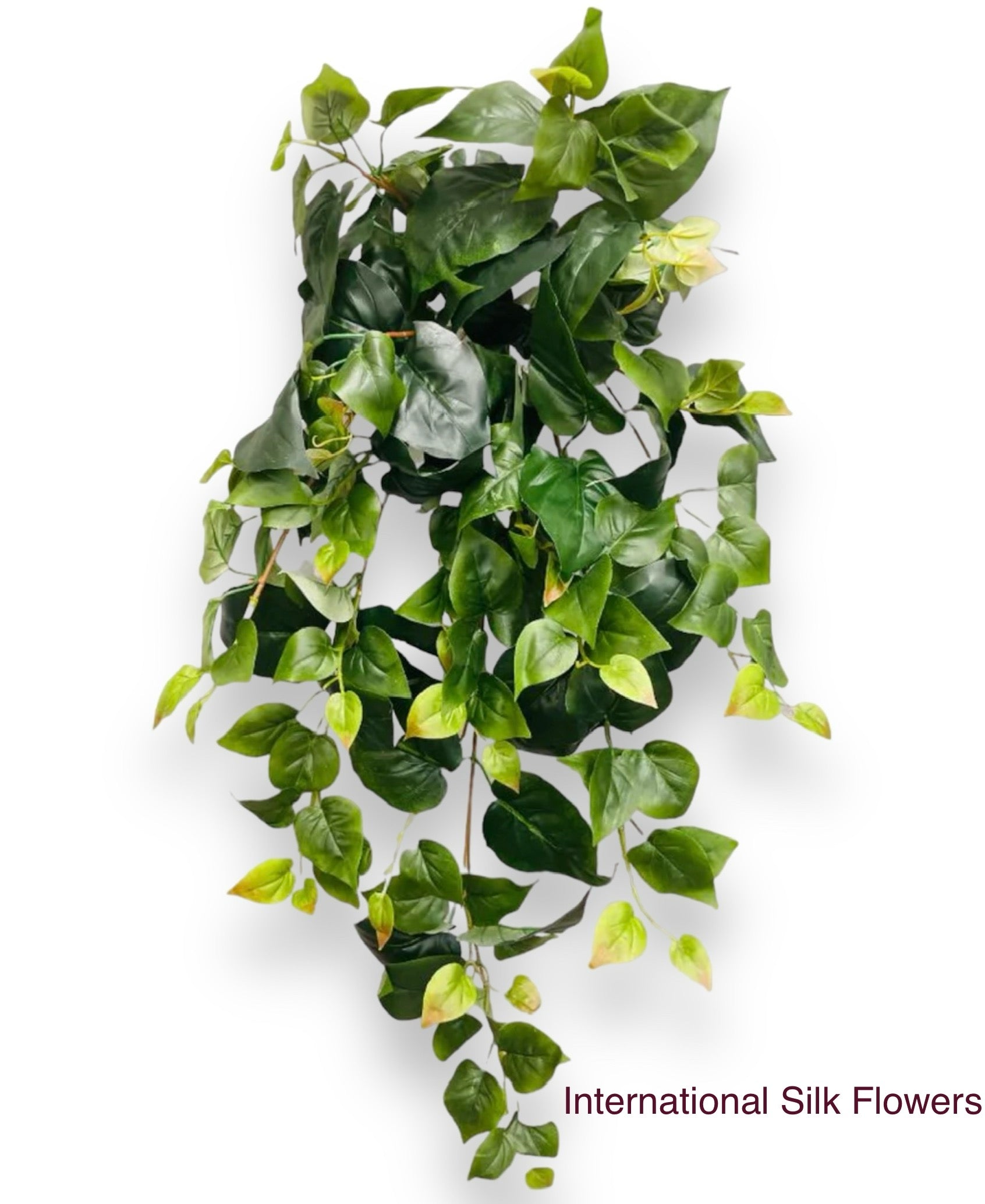 31" Philo Hanging Bush ( PBW022-GR )