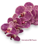 42" Real Touch Phalaenopsis Spray ( FO7199-PUW )