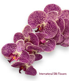 42" Real Touch Phalaenopsis Spray ( FO7199-PUW )