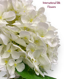 26'' Single Hydrangea ( INT1018- Cream )