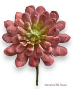 6” Lotus Succulent Pick ( 142865-Red/Green )