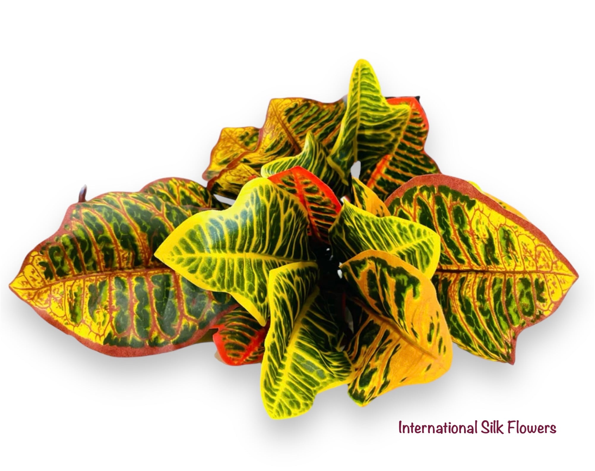 26" Croton Plant ( PPH301 - GR/VG )