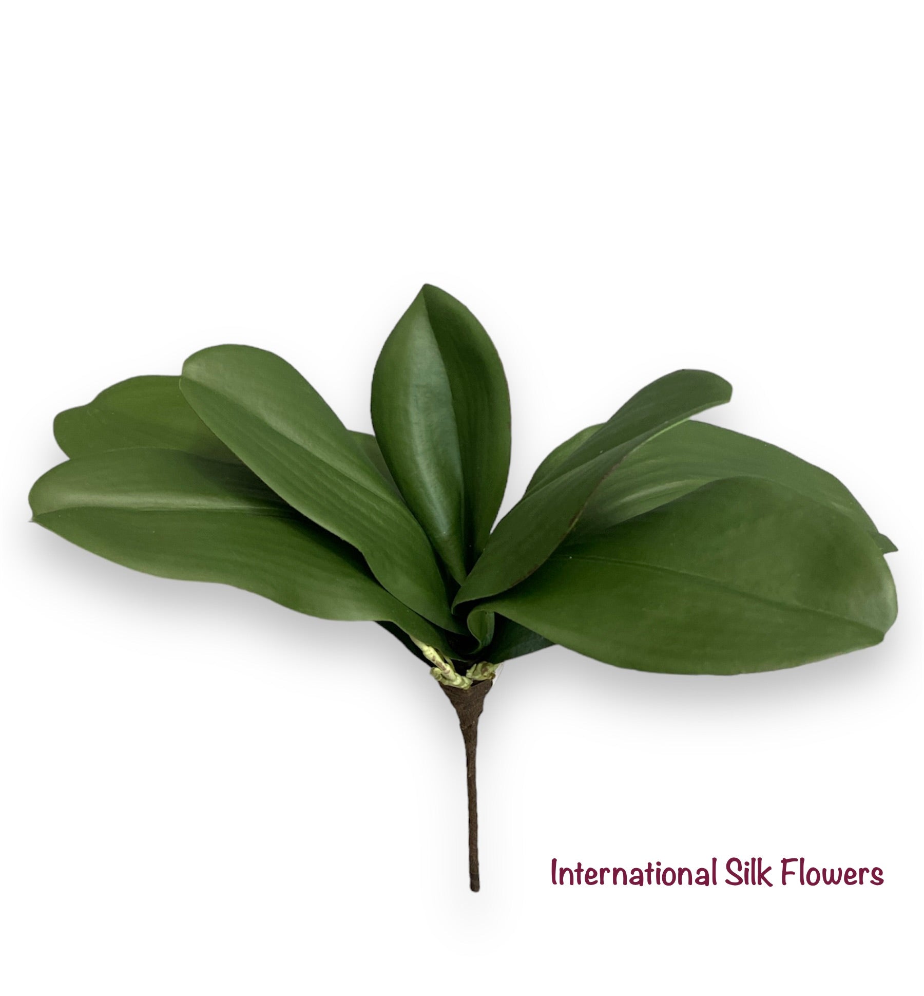 12" Soft Phalaenopsis Leaf Plant ( HSL399-GR )