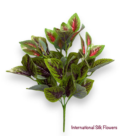 13'' COLEUS LEAF PLANT ( AGN07001-Red/Green )
