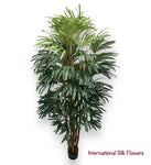 7' Rhaphis Palm Tree  ( INT7950 )