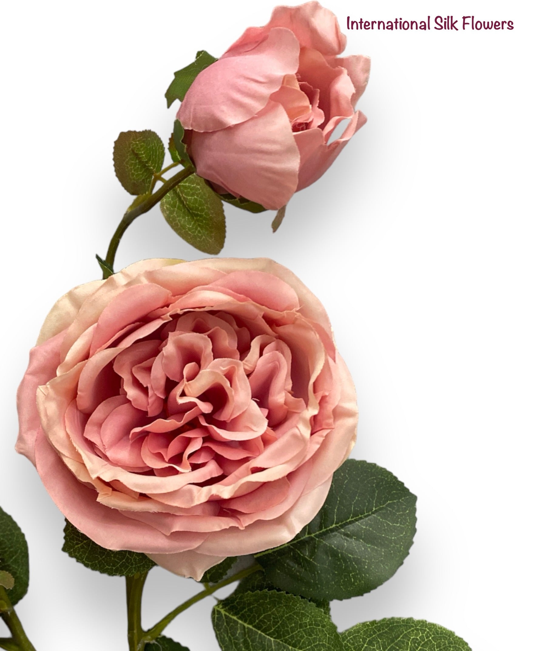 30"  Silk Austin Rose Spray ( 80330-Mauve )