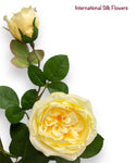 30"  Silk Austin Rose Spray ( 80330-Yellow )