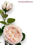 30"  Silk Austin Rose Spray ( 80330-Pink )