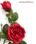 30"  Silk Austin Rose Spray ( 80330-Red )