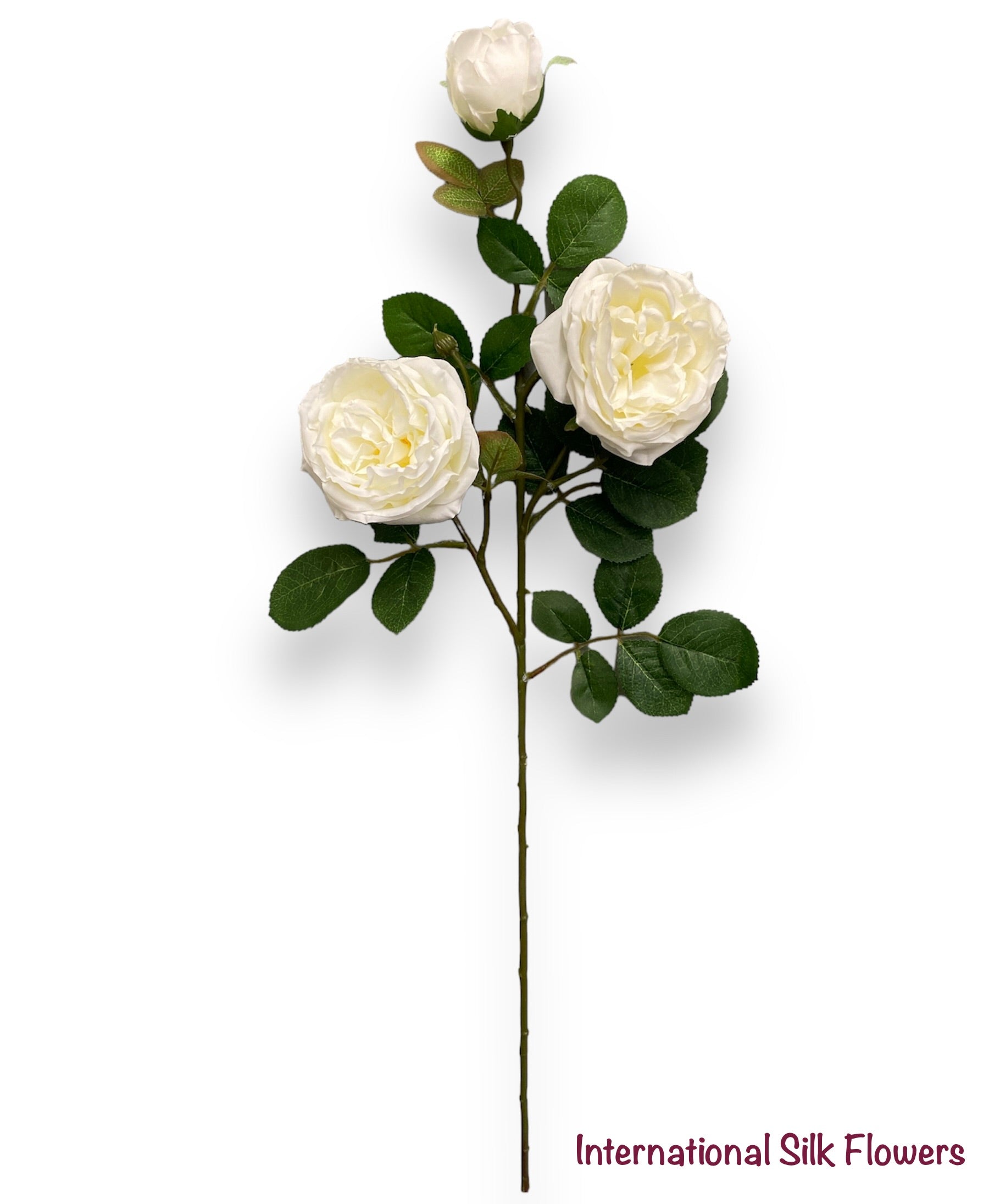 30"  Silk Austin Rose Spray ( 80330-White )
