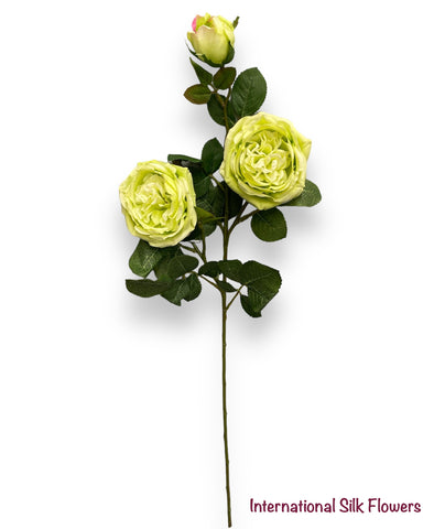 30"  Silk Austin Rose Spray ( 80330-Green )