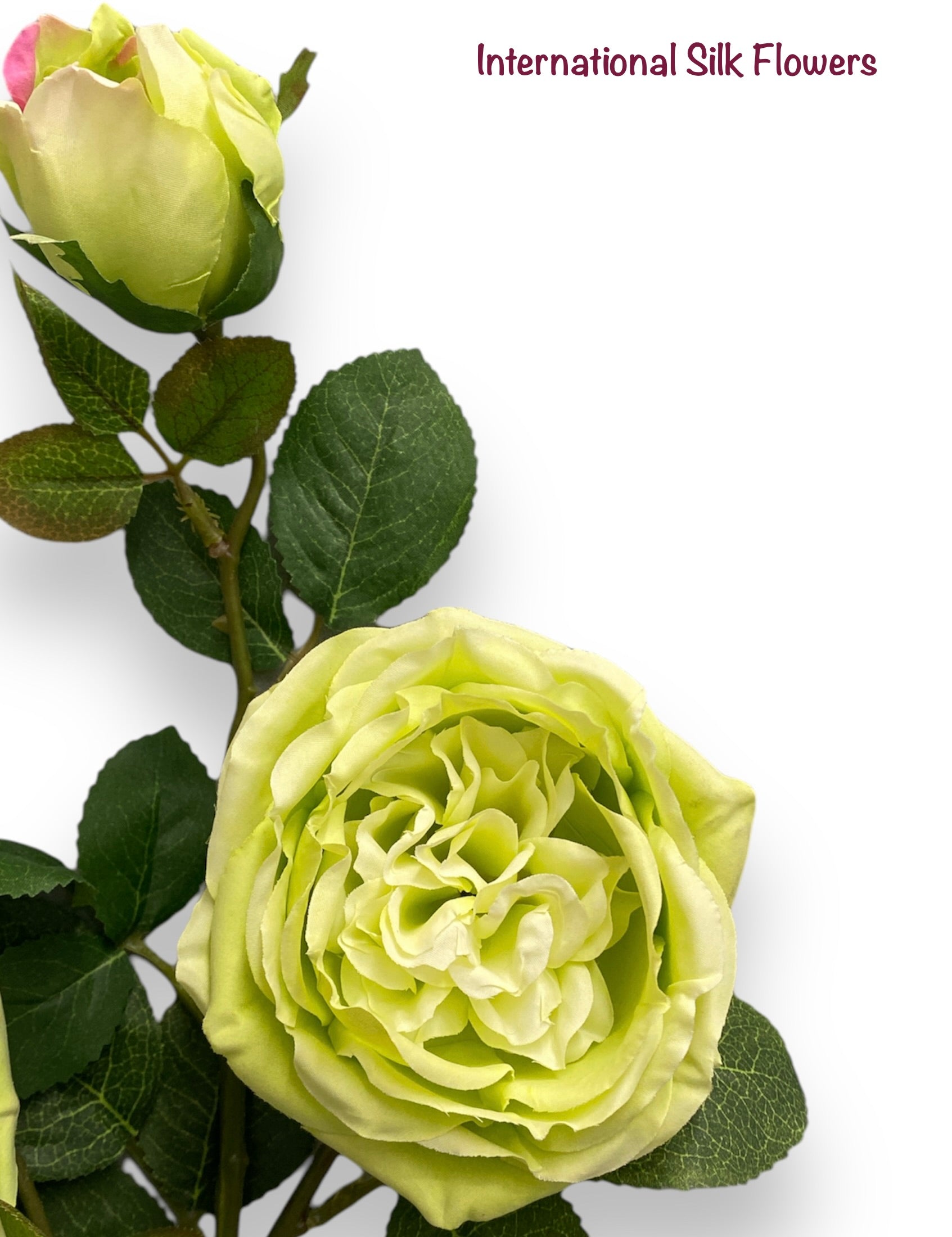 30"  Silk Austin Rose Spray ( 80330-Green )