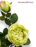30"  Silk Austin Rose Spray ( 80330-Green )