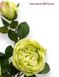 30"  Silk Austin Rose Spray ( 80330-Green )