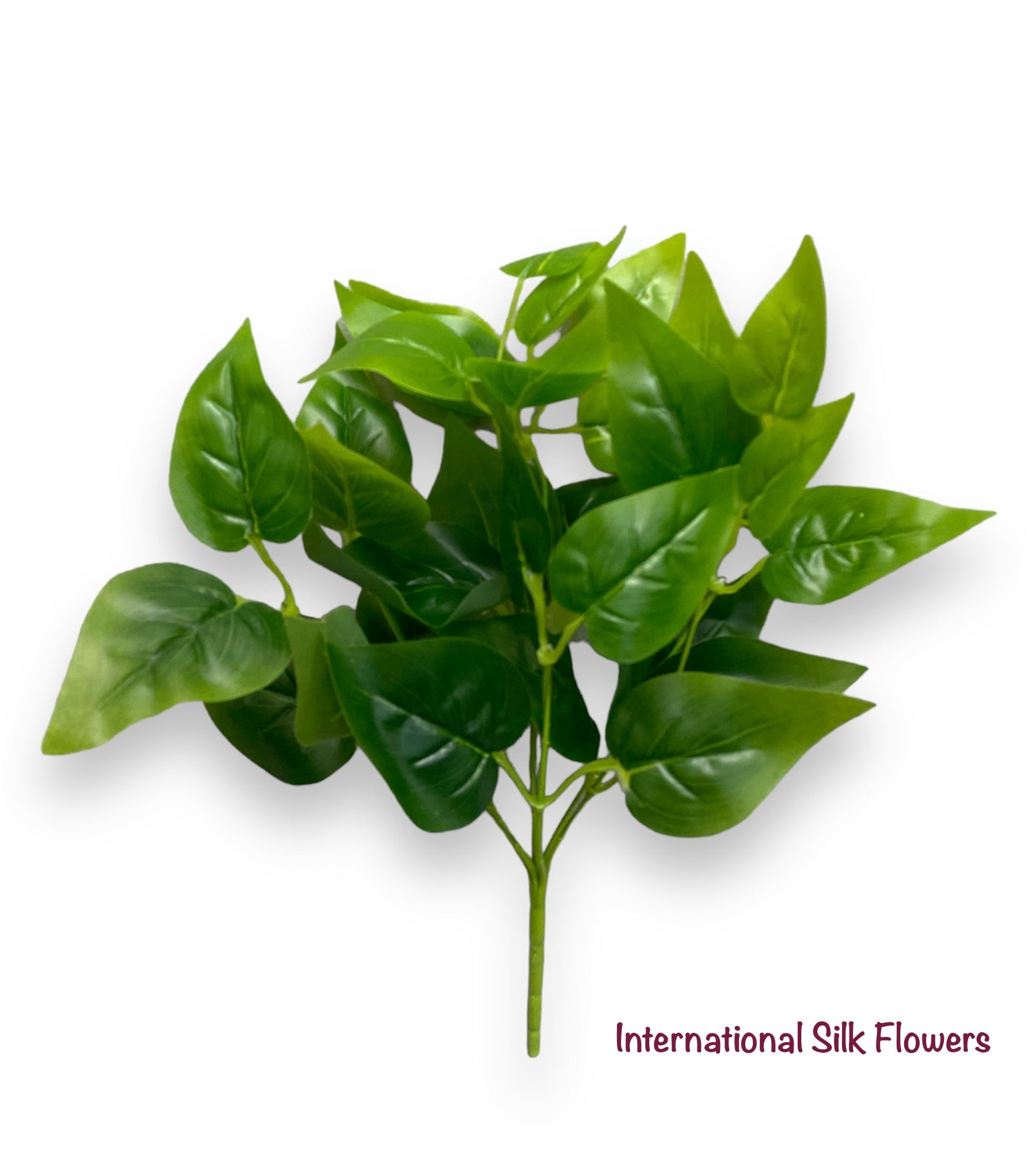 13'' Philo Leaf Bush ( AGN07001-Philo )
