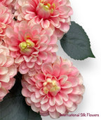 23'' Dahlia Bush ( INT010-#5 Cream Beauty )