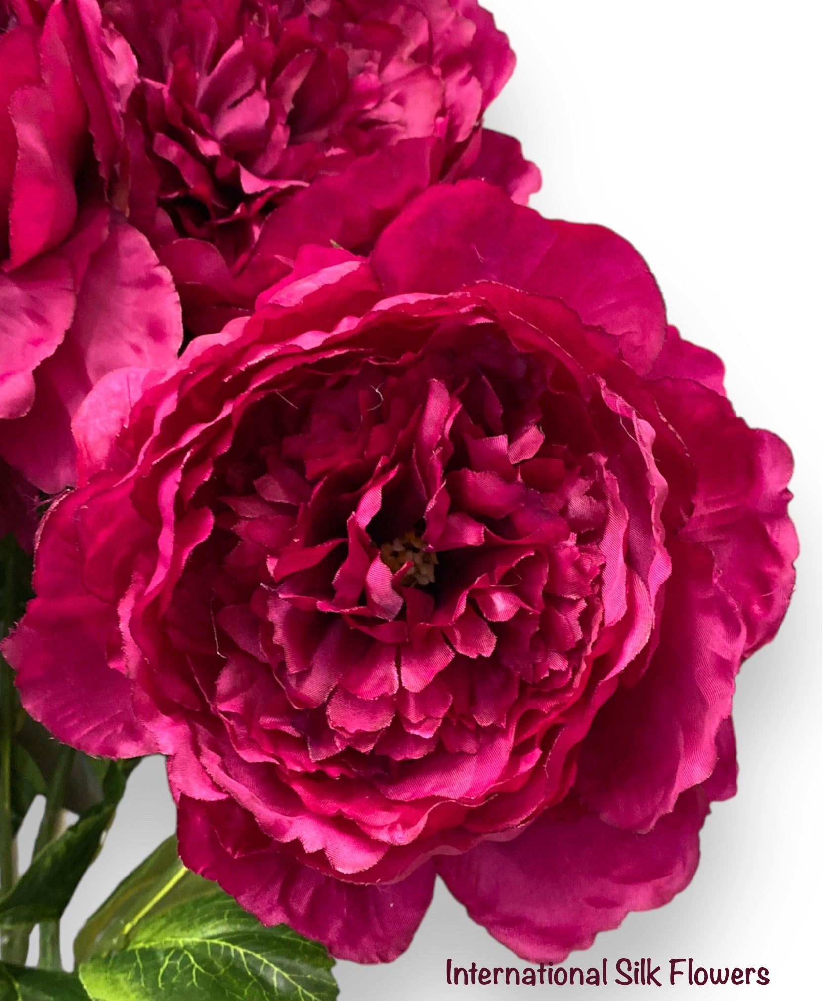 24.5'' Peony Bush ( INT1031-Beauty )
