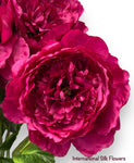24.5'' Peony Bush ( INT1031-Beauty )