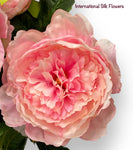 24.5'' Peony Bush ( INT1031-Pink )
