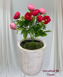 11'' Ranunculus Bud Bush ( B580-Pink/ Fuchsia )